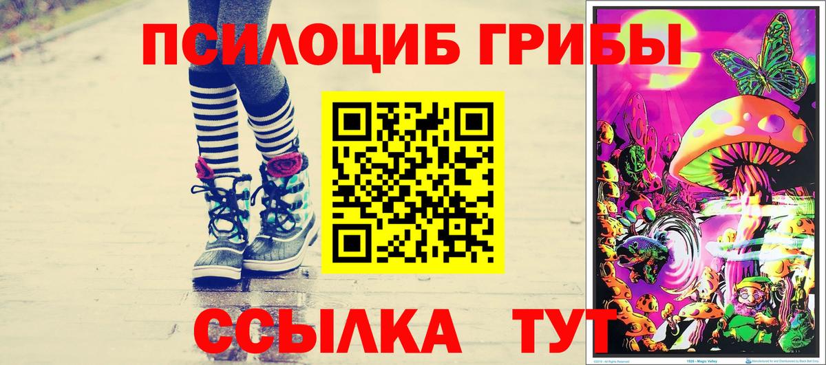 Псилоцибиновые грибы Psilocybe  Вход с VPN  Арсеньев  Псилоцибиновые грибы Psilocybine cubensis 