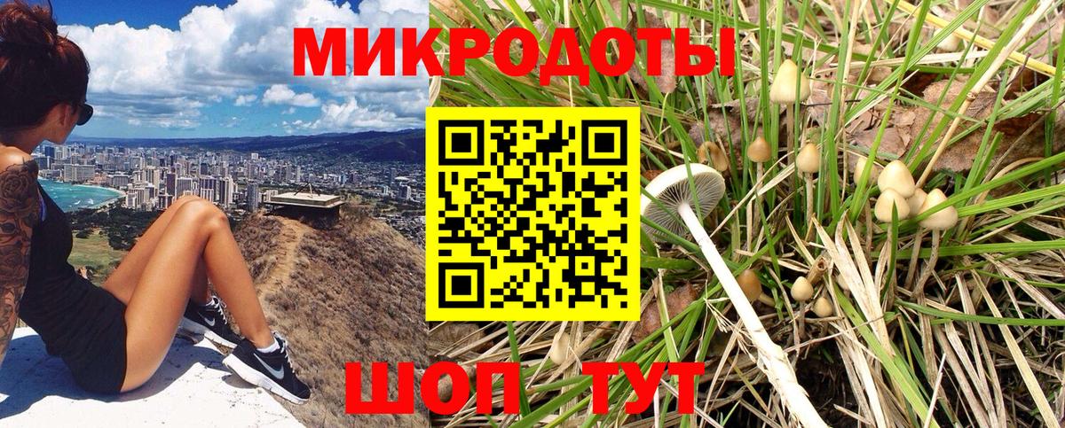 Галлюциногенные грибы ЛСД Арсеньев